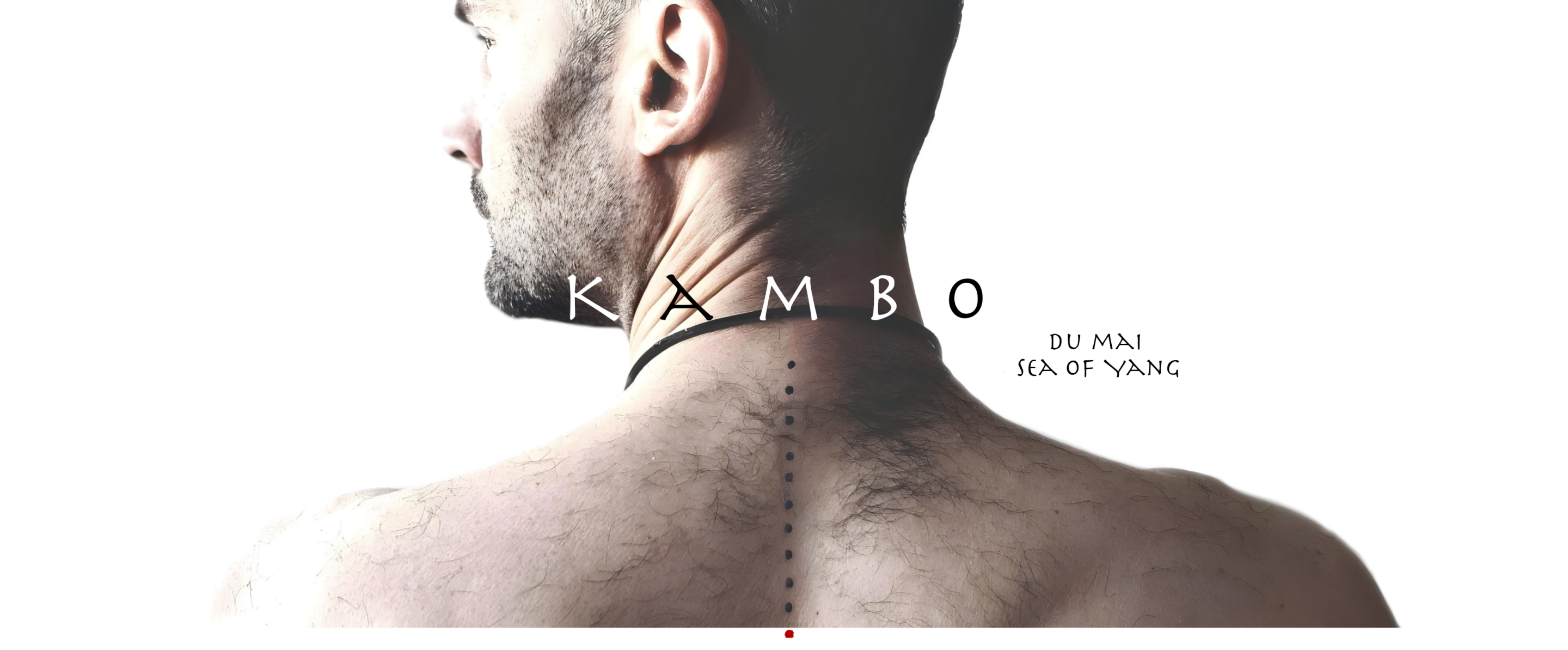 Therapeutische Reflexologie Kambo header Kambo ceremony